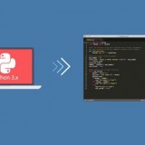 Python-696x397
